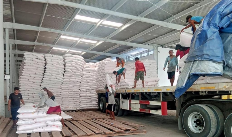 Pupuk Subsidi Bukan Langka, Tapi Alokasi Minim