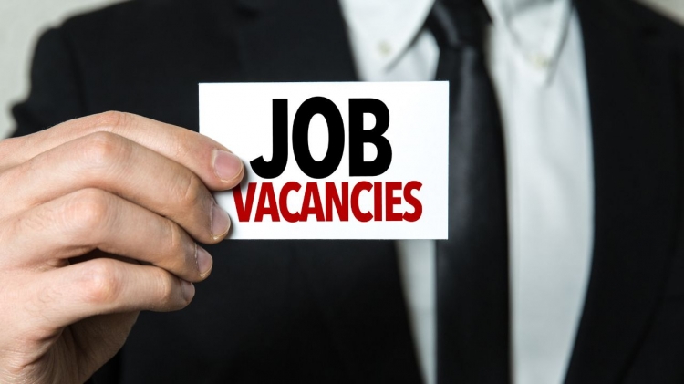 KSP Primadana Membuka Lowongan Pekerjaan Posisi Supervisor IT