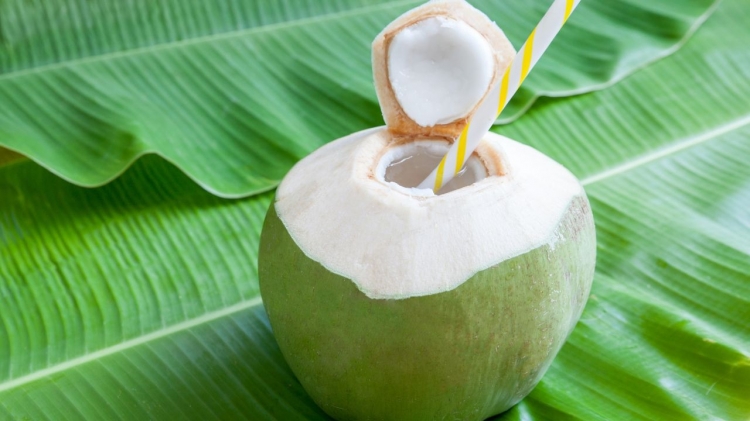 Ternyata Ini 4 Manfaat Bila Kita Minum Air Kelapa Bagi Kesehatan Badan