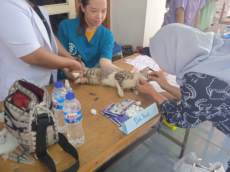Tingkat Kesadaran Kesehatan Tinggi, Masyarakat Sambut Antusias Vaksin Rabies bagi Hewan Peliharaan