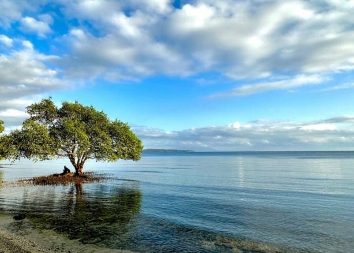 Menikmati Keindahan Alam Pantai Tirta Pesona Jepara yang Tiada Duanya