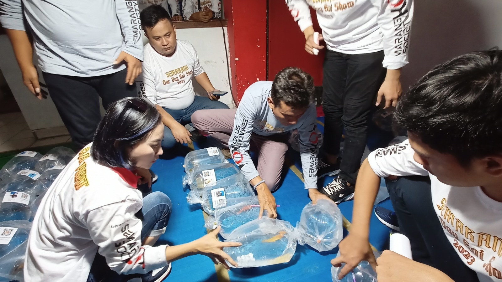 Semarang Bisa Jadi Pusat Penghasil Ikan Koi Asalkan Pengelolaannya Benar