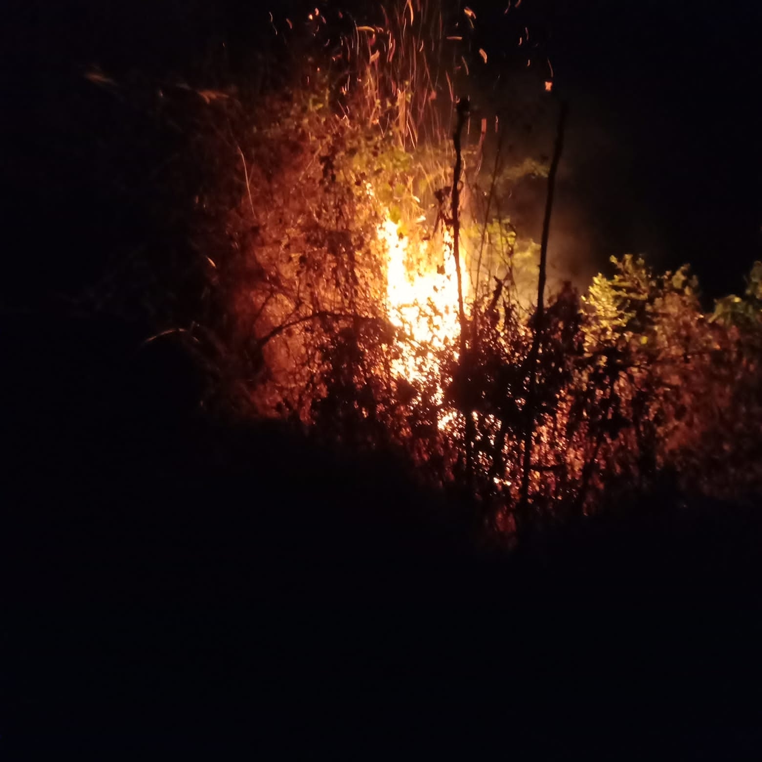 Kesigapan Petugas Gabungan Berhasil Atasi Kebakaran di Area Bukit Gili Windusari