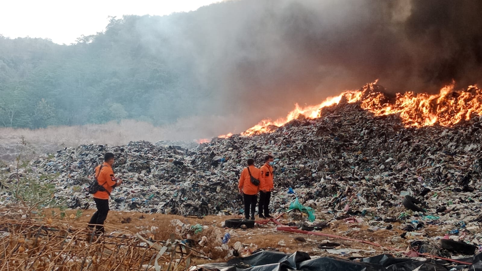 Kronologi dan Penyebab Kebakaran TPA Jatibarang Semarang, Nasib Puluhan Sapi Ternak Jadi Perhatian Petugas