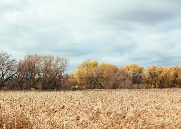 Penting Sekali Ikuti 3 Tips Ini Buat Menghindari Hawa Panas yang Menyengat di Musim Kemarau