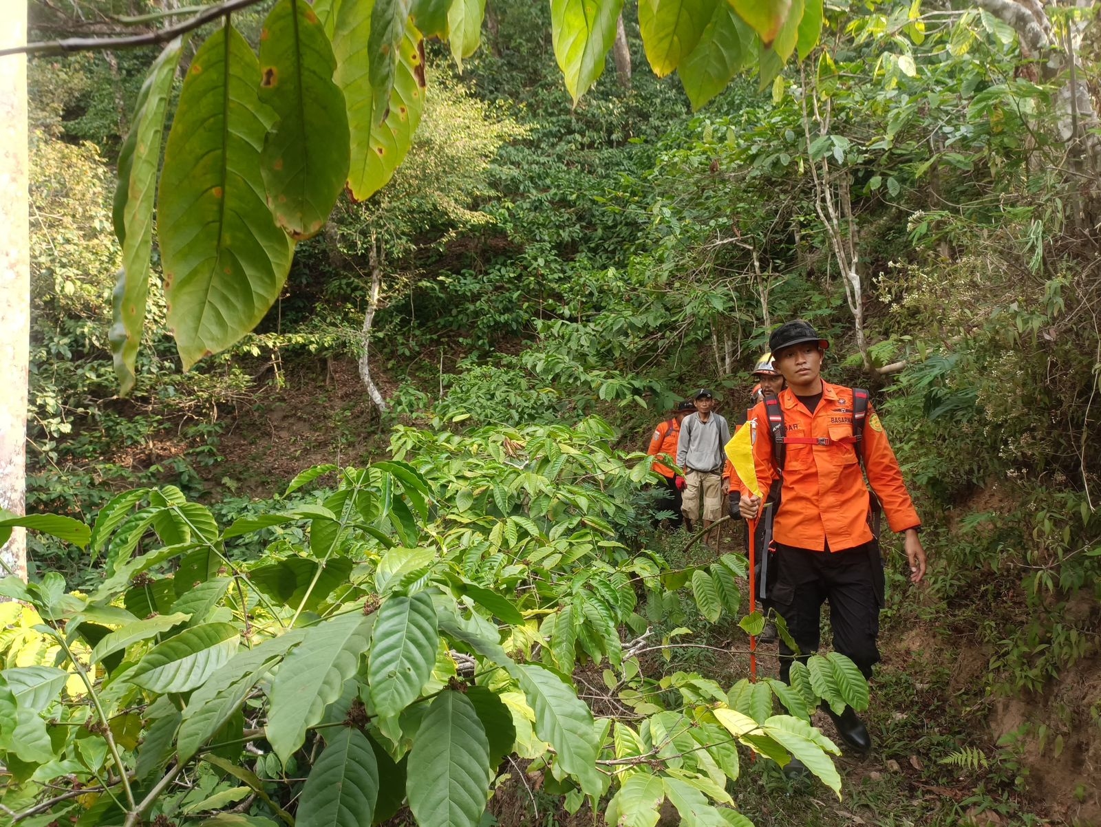Suwardi Hilang di Hutan Pinus Ngipik Ungaran , Basarnas Terus Lakukan Pencarian