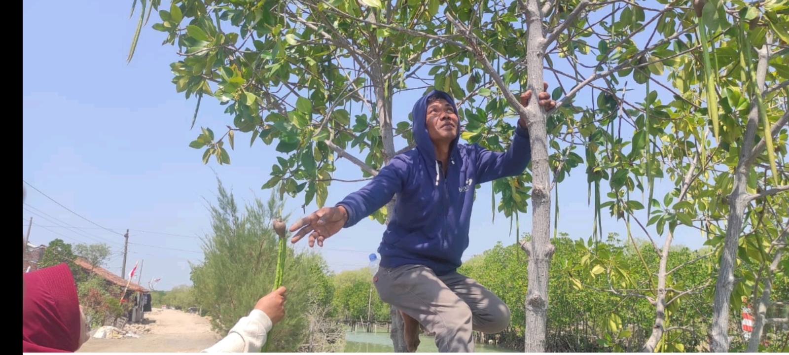 Dinlutkan Demak Dorong Masyarakat Pesisir Olah Mangrove Bernilai Ekonomis