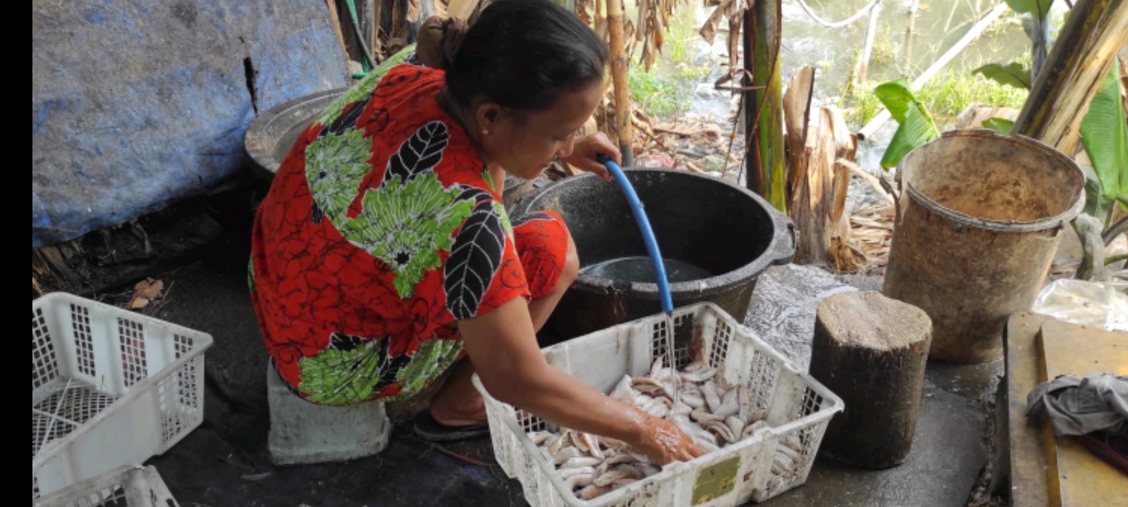 Warga Demak Manfaatkan Sisa Fillet Nila, jadi Ikan Asap Bernilai Ekonomis