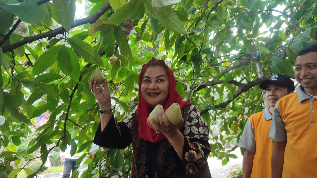Mbak Ita: BRIDA Dorong Inovasi di Kota Semarang Dalam Penelitian dan Pengembangan Potensi Daerah