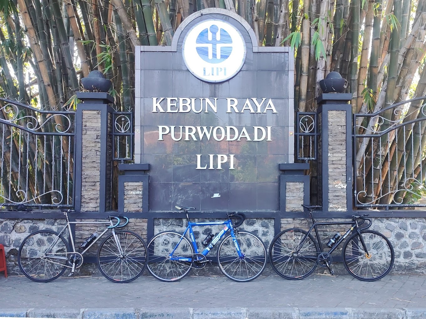 Kebun Raya Purwodadi, Wisata Alam Purwodadi Sekaligus Tempat Belajar Mengenal Berbagai Tumbuhan