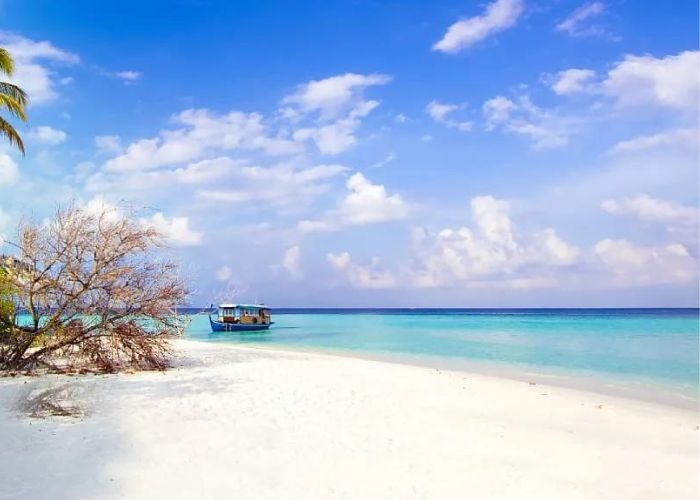 Wisata Menyusuri Pulau Pari di Kepulauan Seribu, Menikmati Alam Sambil Snorkeling dan Bermain Banana Boat