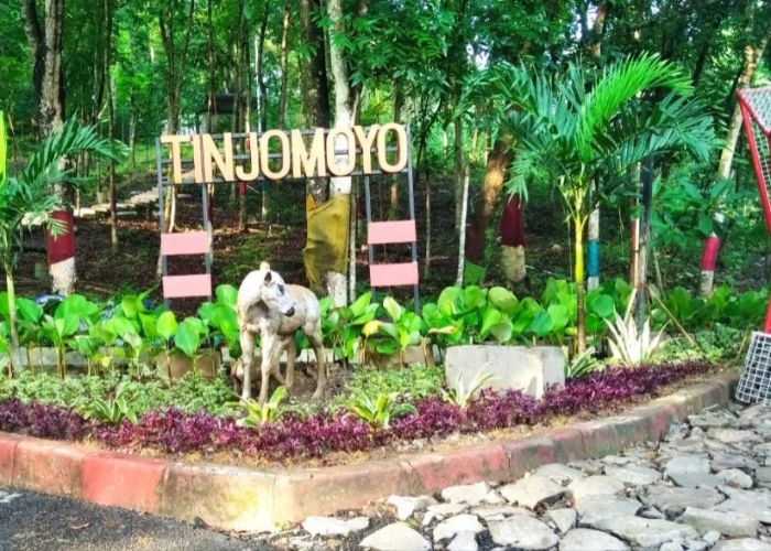 Menguak Misteri di Hutan Tinjomoyo: Cerita Mistis di Balik Pesona Alam yang Indah di Semarang