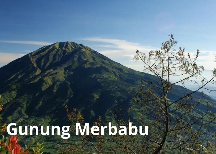 Menjelajahi Keindahan Taman Nasional Gunung Merbabu: Cara Melakukan Booking, Jalur Pendakian, Biaya, dan Aturan