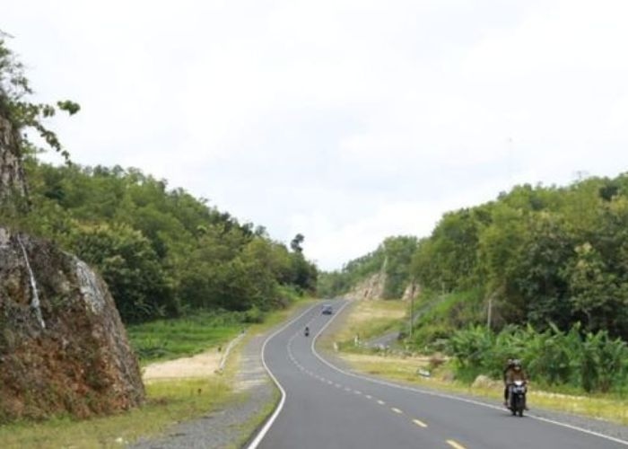 Misteri dan Sejarah Jalan Daendels: Jelajahi Kisah Mistis Purworejo yang Tersembunyi