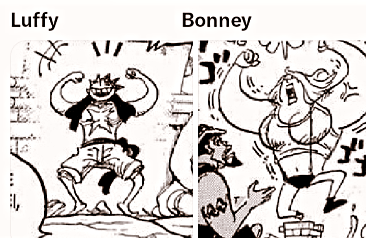Banyak Kemiripan, Bonney adalah Luffy 'Versi Cewek' di Dunia One Piece