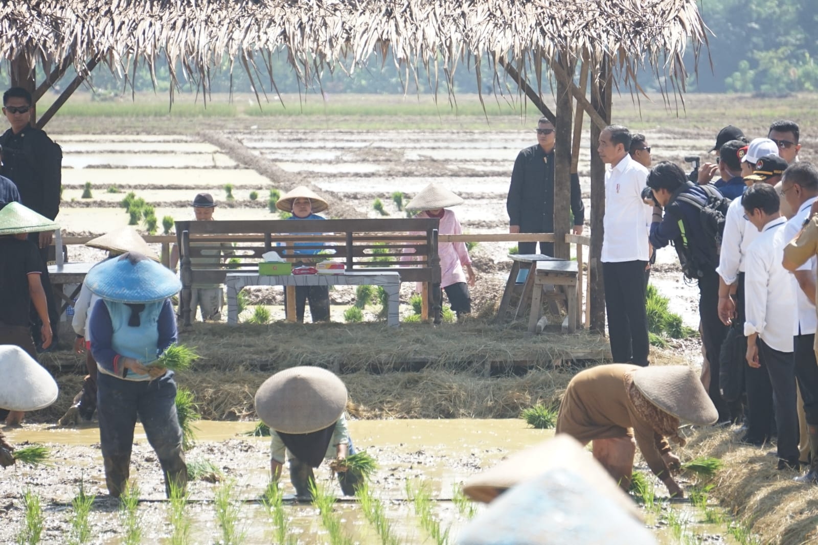 Strategi Pupuk Indonesia: Keamanan Stok hingga Digitalisasi untuk Musim Tanam Baru