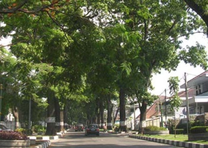 Misteri yang Menyelimuti Jalan Cipaganti: Urban Legend Jawara Tanpa Kepala yang Terus Menghantui