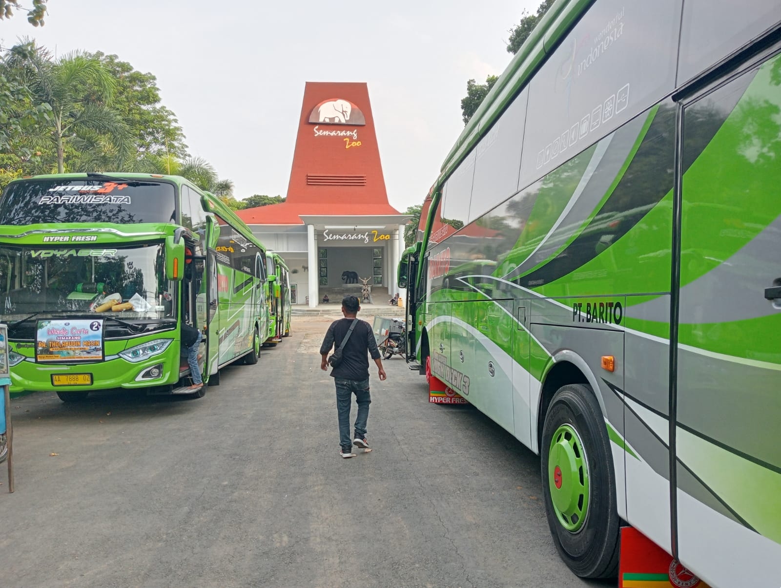Semarang Zoo Bagikan 2000 Tiket Gratis Selama Libur Natal dan Tahun Baru, Segera Dapatkan Tiketnya
