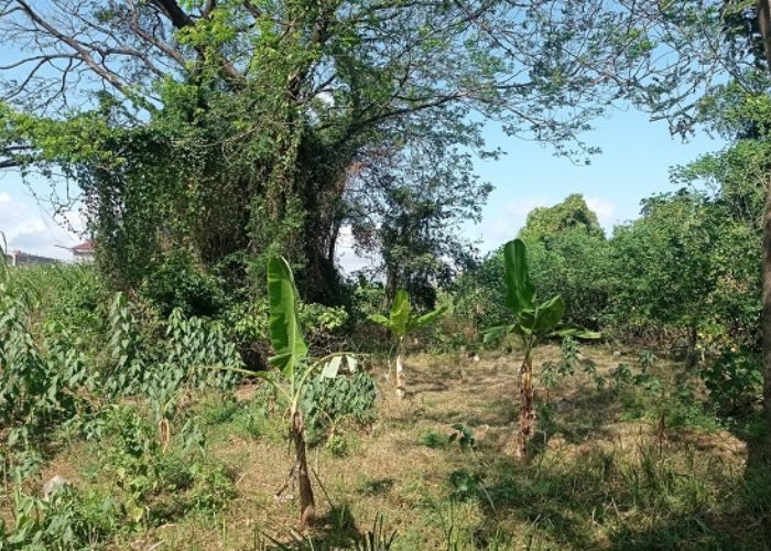 Misteri dan Mistisnya Kuburan Dempul Lirboyo: Kisah Mengerikan di Dekat Pondok Pesantren