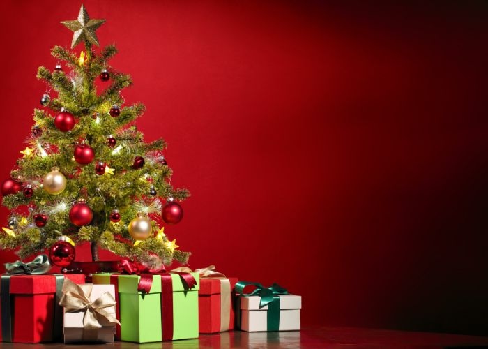 Perayaan Natal 2023 di Bali: Berikut Jadwal Lengkap Misa Malam Natal dan Hari Raya natal di Paroki Keuskupan Denpasar