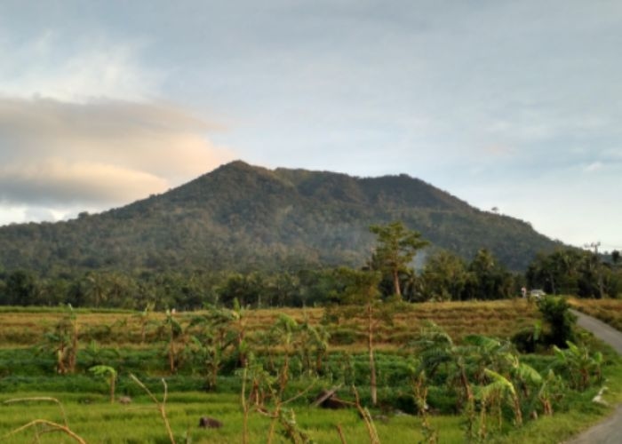 Misteri Gunung Pulosari: Kisah Hantu Banaspati dan Babi Raksasa yang Menakutkan