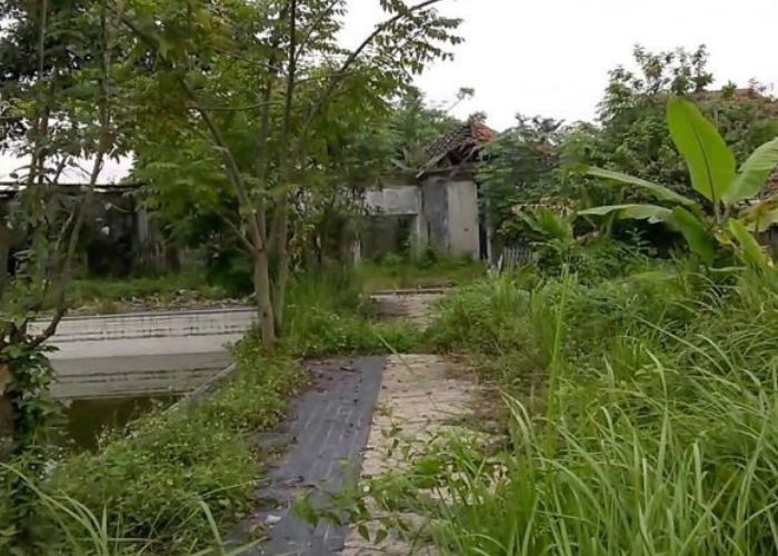 Misteri Angker Kolam Renang Singandaru: Kisah dan Jejak Tragis di Balik Ketidakterawatan Bangunan