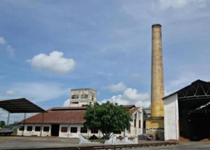 Misteri yang Menyelimuti Pabrik Seranite Banyuwangi: Sejarah Angker dan Nuansa Mistis yang Membuat Merinding