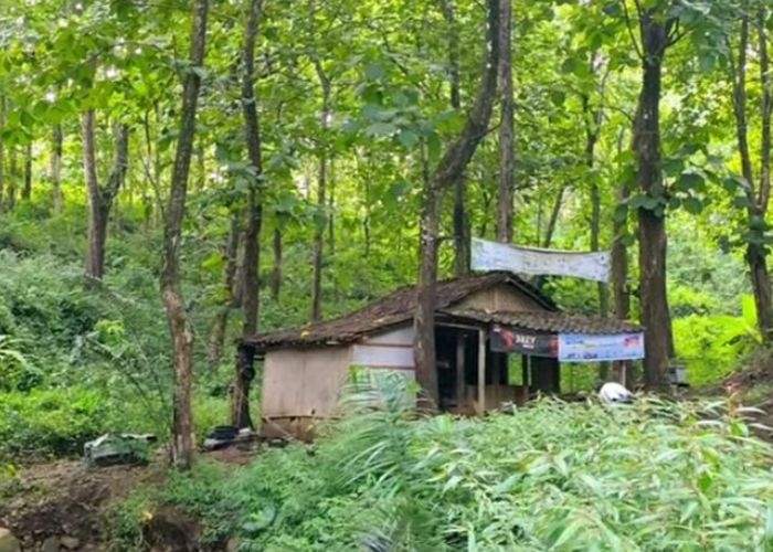 Keangkeran Hutan Mojorayung di Madiun: Misteri Pembantaian dan Cerita Mistis