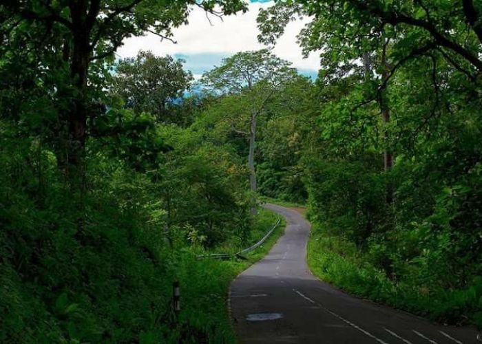 Misteri dan Keindahan Alam yang Menyelimuti Jalur Jurang Dengkeng di Madiun