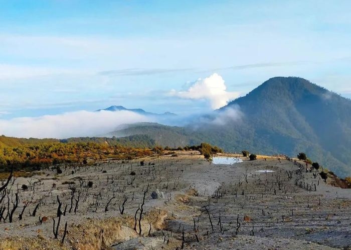 Pesona Alam Gunung Papandayan: Keindahan Alam dan Mitos Misteri yang Membayangi