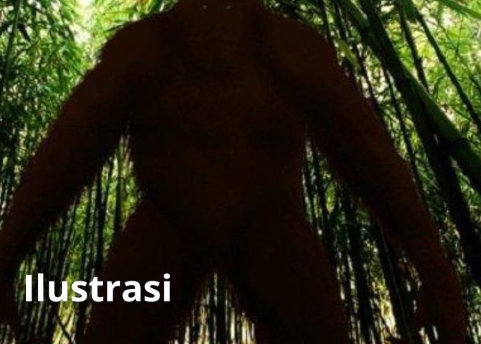 Misteri Gunung Gede Pangrango: Mitos 5 Sosok Gaib Penunggu Gunung yang Juga Mengintai Para Pendaki