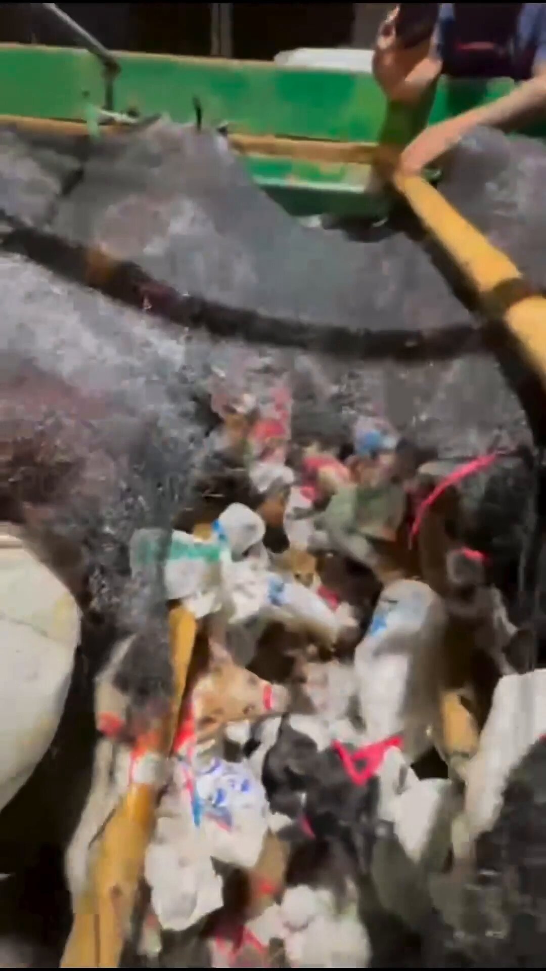 Pengungkapan Kasus Penyelundupan Ratusan Anjing di Semarang oleh Polisi