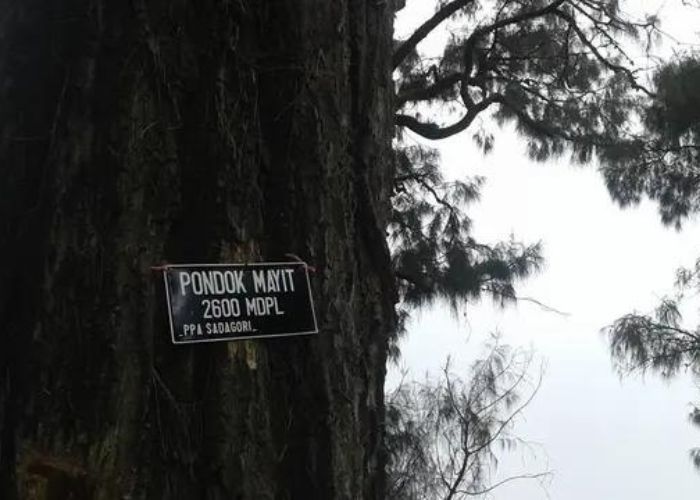 Misteri dan Jejak Sejarah yang Terukir di Pondok Mayit Gunung Raung: Kisah Perlawanan Rakyat Indonesia Melawan Penjajah Belanda