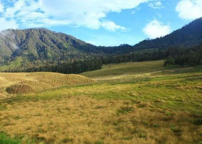 Misteri Lembah Cikasur di Gunung Argopuro: Saksi Bisu Tragedi Pembangunan Landasan Pesawat Belanda