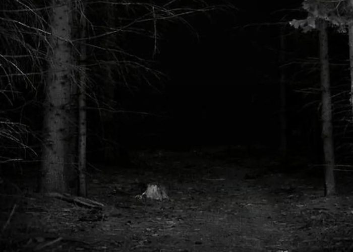 Kisah Misteri di Gunung Argopuro: Keunikan Pasar Setan yang Membingungkan dan Misterius