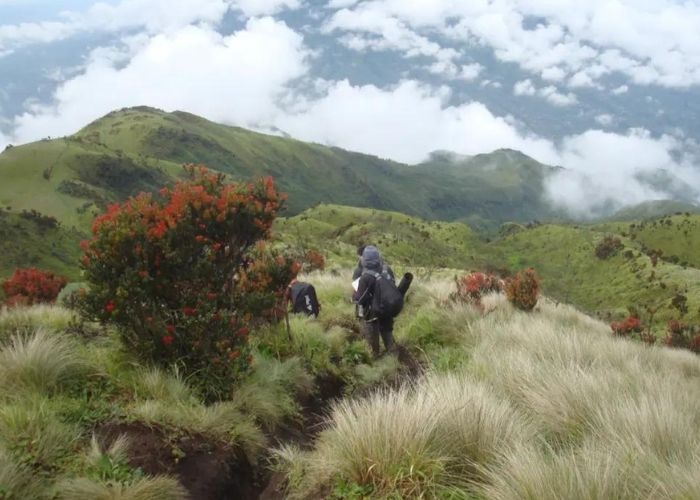 Puncak Rengganis dan Misteri Taman Rengganis: Keelokan yang Terlindungi di Gunung Argopuro