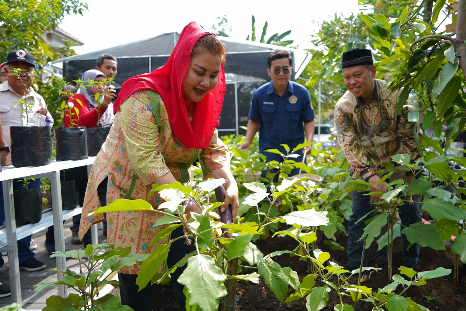 Wali Kota Semarang Apresiasi Keterlibatan Warga Dalam Program Urban Farming