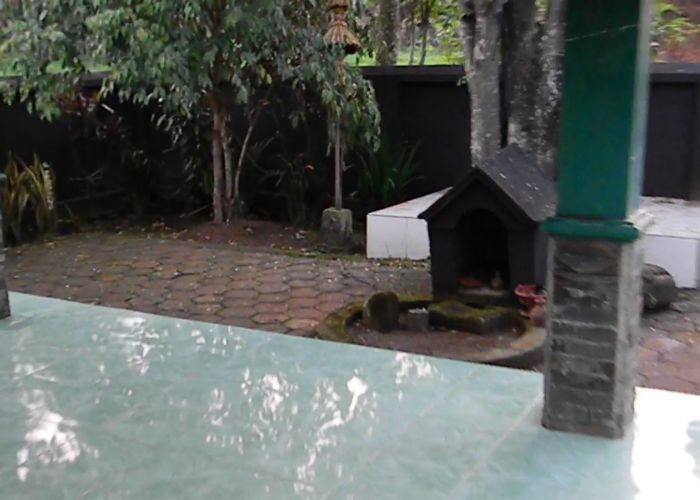 Misteri dan Mitos di Sumur Windu, Keajaiban Mistis di Tengah Kota: Antara Pemujaan dan Kenyataan