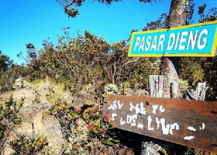 Tempat Horor di Indonesia: Pasar Dieng, Misteri dan Keunikan di Puncak Gunung Lawu
