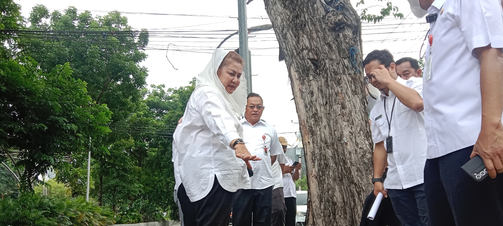 Temukan Taman Perkotaan Kurang Terawat, Mbak Ita Tekankan Koordinasi Antar-OPD