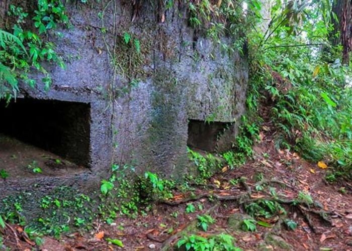 Cerita tentang Goa Jepang Lereng Merapi: Misteri Sejarah yang Terkubur dalam Rongga Bawah Tanah
