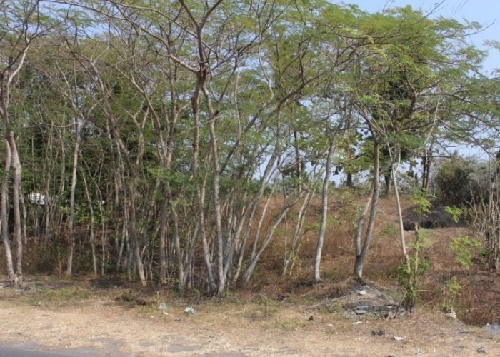 Menelusuri Jejak Sejarah Situs Gunung Wingko: Permukiman Purba dengan Kekayaan Arkeologis yang Mengagumkan