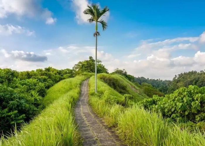 Misteri yang Menyelimuti Jalan Raya Tjampuhan: Kisah Mistis di Tengah Keindahan Alam yang Memukau
