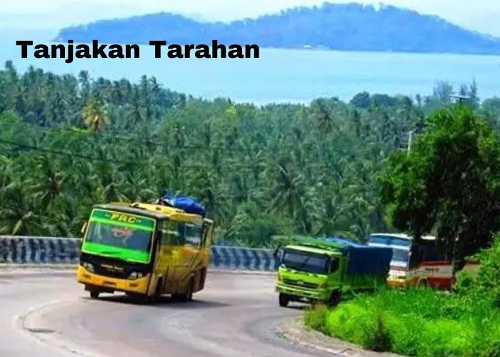 Mengungkap Misteri yang Menyelimuti di Tanjakan Tarahan, Lampung: Apa yang Sebenarnya Terjadi?