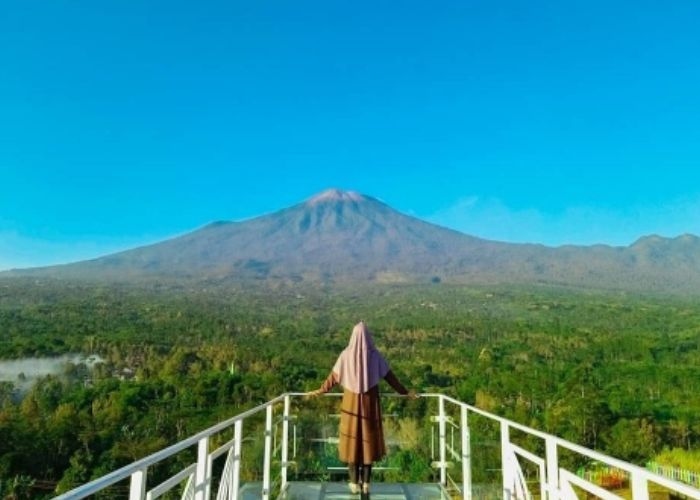 Mengungkap Pesona Alam dan Juga Sisi Misteri yang Menyelimuti Bukit Tangkeban di Pemalang