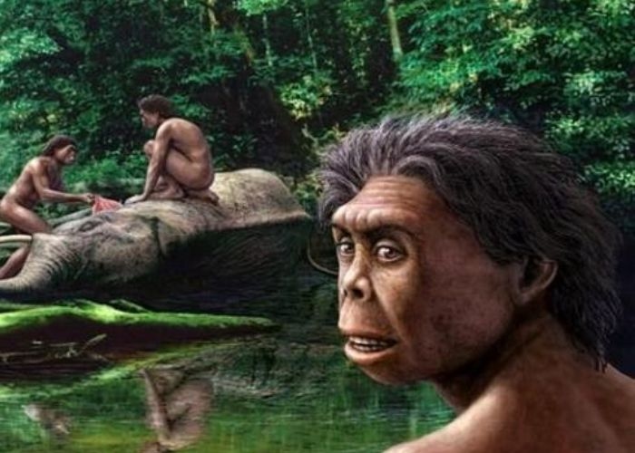 Misteri Suku Mante: Kisah Tersembunyi Makhluk Bertubuh Kerdil yang Mendiami di Pedalaman Aceh
