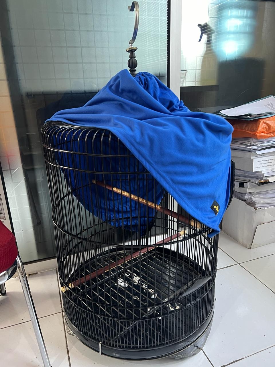 Polisi Bekuk Pencuri Burung Mahal yang Menang di Banyak Kejuaraan