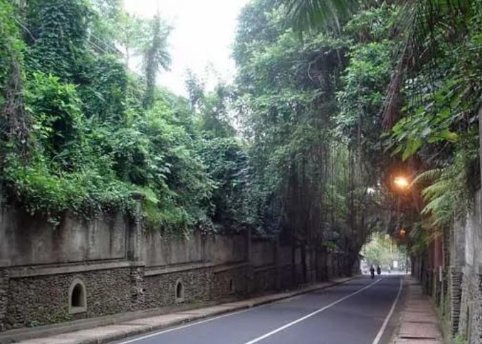 Misteri Arwah Siswi SMK Korban Kecelakaan: Kisah Seram Dibalik Jalan Raya Campuhan, Ubud, Bali