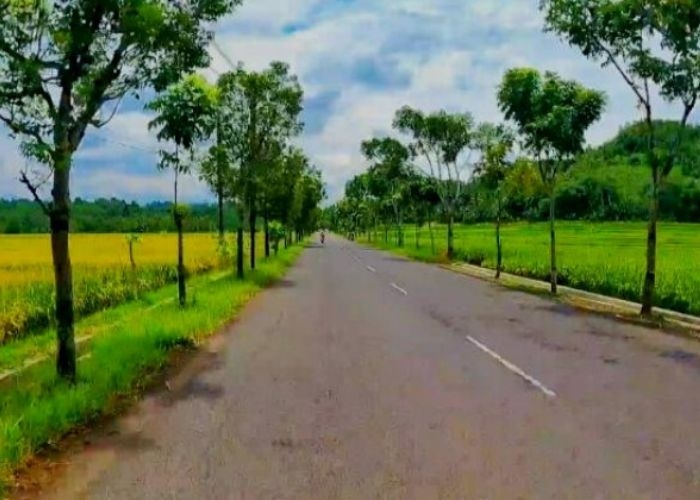 Misteri dan Mitos yang Menyelimuti Jalur Gunung Tugel: Antara Kecelakaan Nyata yang Sering Terjadi dan Legenda Mistis