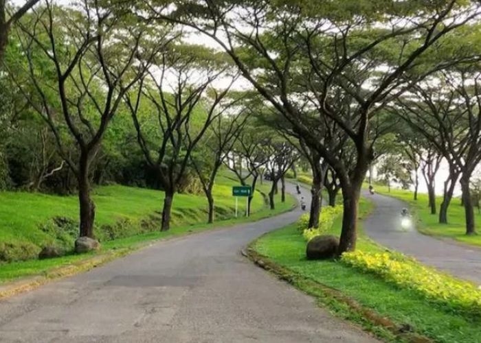 Kisah Bukit Bernuansa Mistis di Indonesia: Menikmati Keindahan Alam dan Misteri di Bukit Pelangi Sentul